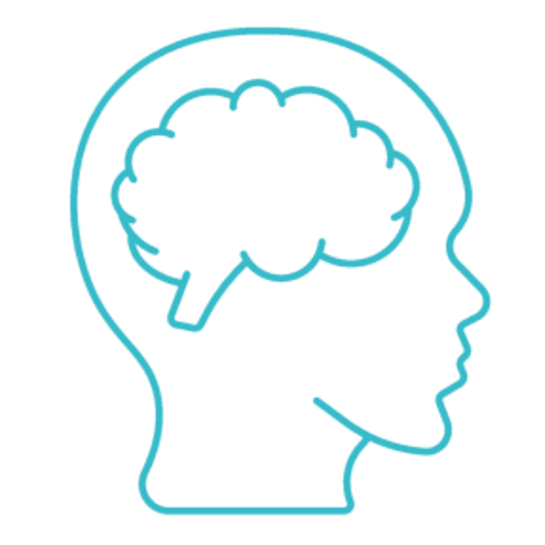 Human Brain Icon