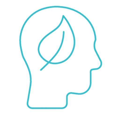 Leaf Icon